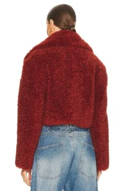 Helena Faux Fur Coat Rust -Camila coelho Shop RONR WO35 V4